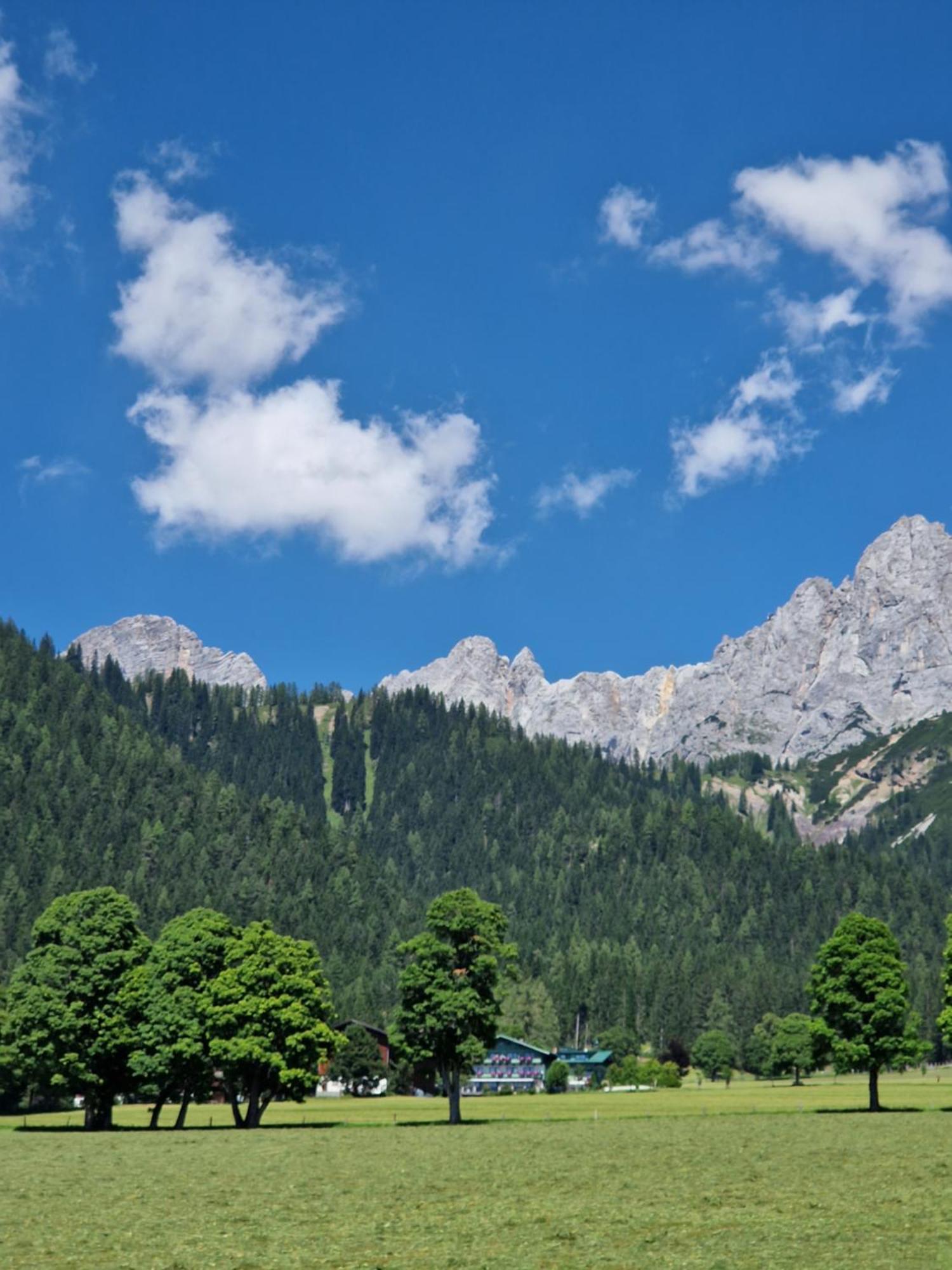Family Appartment - Dachstein View Ramsau am Dachstein Extérieur photo
